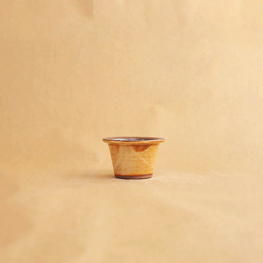 Handcrafted Ceramic Tea Infuser Mug with Lid 300ml - Beige Foliage Design