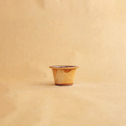 Handcrafted Ceramic Tea Infuser Mug with Lid 300ml - Beige Foliage Design