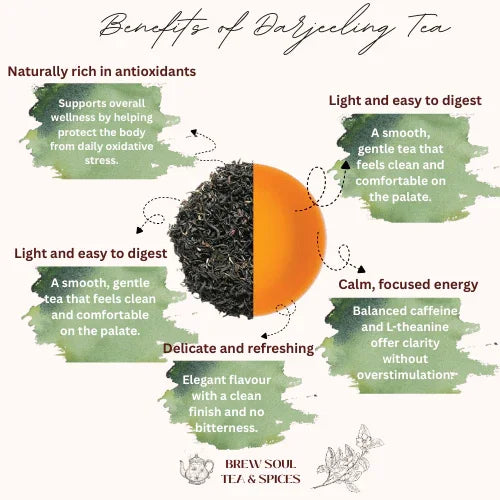 Darjeeling tea leaves with orange circle, listing benefits like antioxidants, gentle digestion, delicate flavor, and calm energy.